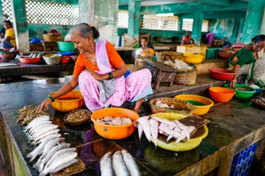 Indian Woman selling fish at a market - Picture by Ishay Botbol 